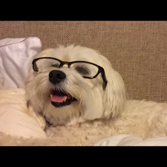 Meet your Posher, Jennifer - Picture 5 of 11